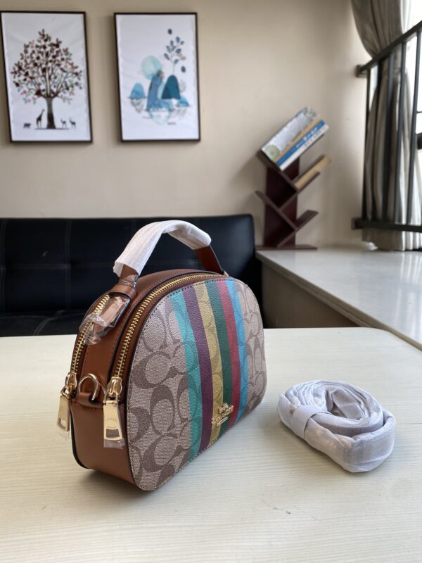 Coach Colorful Striped Steamed Bun Bag - Image 2